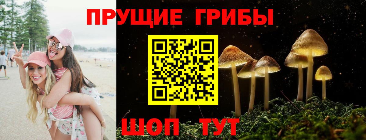 Псилоцибиновые грибы мухоморы Железногорск